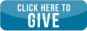 button saying click here to give